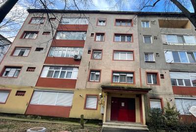 Apartament cu 2 camere semidecomandat în Caransebeș - 10