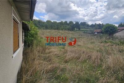 Casa de vanzare in Hapria 4139mp teren - 5