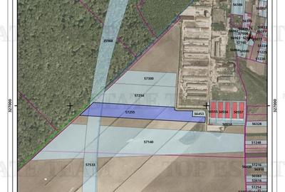 Teren agricol intravilan de 17000 mp, în Ciorogârla - 1