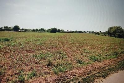Teren generos pentru constructii in vadul localitatii Ciolpani