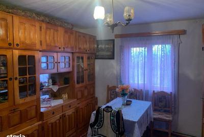 Casă cu 3 camere cu Teren 7600 Mp în Putna - 10