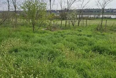 Teren de 2500 mp, în Tuzla - 8