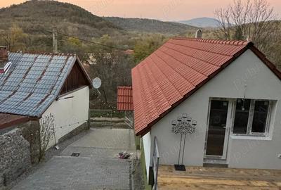 Proprietar vand Casa Sasca Montana - 9