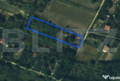 Teren de 2366 mp, în Bercu Roșu - 5