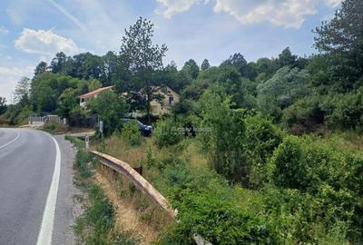 Resita, Terenuri Intravilane 2000 Mp., 28 Euro/Mp., Calea Ca - 7