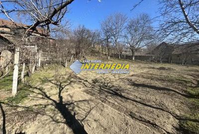 Casa in Cricau cu 3 camere de vanzare teren de 1300 mp - 8