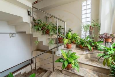 Casă cu 1 camere cu Teren 151 Mp în Central - 1