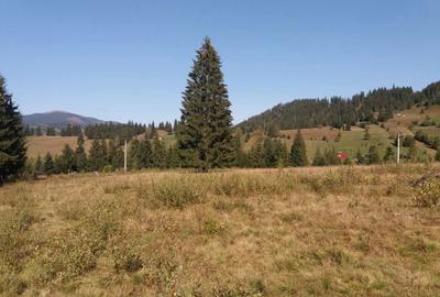 Teren în Ortoaia - 3