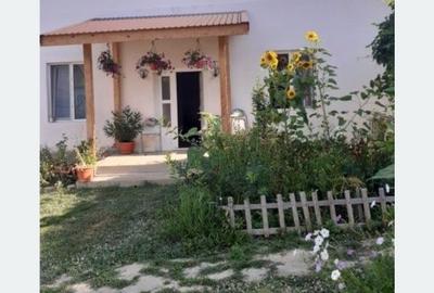 Casă cu 4 camere în Alimpești - 7