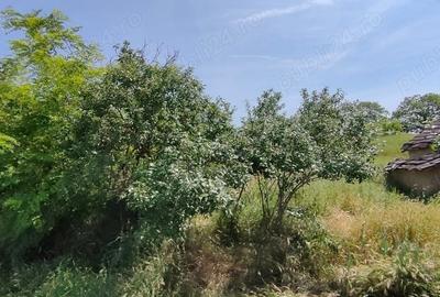 Teren de 925 mp, în Berceni - 4