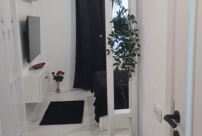 Garsonieră nedecomandată în Roșu - 3