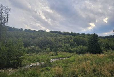 Spațiu comercial, în Dălghiu - 4