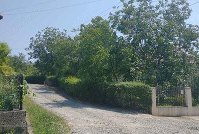 Teren de 3100 mp, în Văleni - 3
