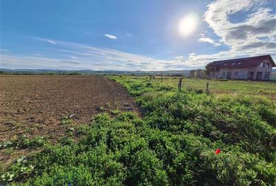 Teren agricol intravilan de 1200 mp, în 9 Mai - 2