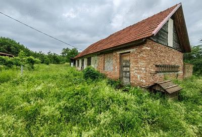 Teren de 18645 mp, în Sântămăria de Piatră - 9