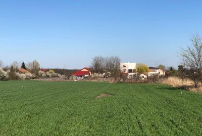 Teren 2100 mp Dumbrăveni Balotești – construibil, intim, zonă deosebită! - 2
