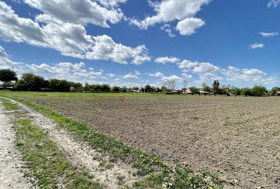 Teren intravilan Zona Metropolitana Brasov - 9