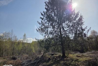 Spațiu comercial, în Viștișoara - 4