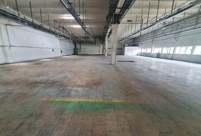 Hală + birouri  la parter 1.000 mp.zona Tudor 3 5 euro mp - 5