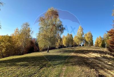 Oportunitate de investitie ! Teren de vis in Pestera - ... - 13