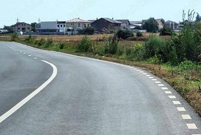 Vanzare Teren intravilan 10000mp Balaceanca - 15