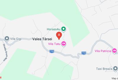 Casă individuală cu 3 camere cu Teren 980 Mp în Valea Târsei - 1