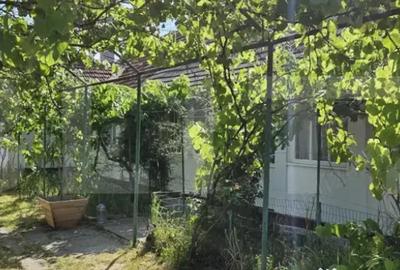 Casă cu 3 camere cu Teren 2985 Mp în Nițchidorf - 7