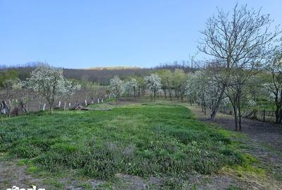 Casă cu 2 camere cu Teren 50 Mp în Sârbi - 8
