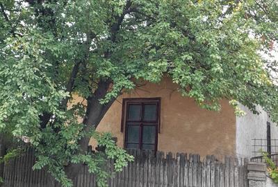 Casă cu 2 camere în Basarabi - 8