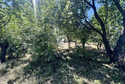 Casă cu 2 camere cu Teren 1940 Mp în Ciurea - 4