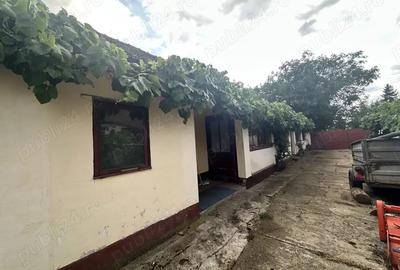 Casa de vanzare in loc. Zadareni jud. Arad - 2