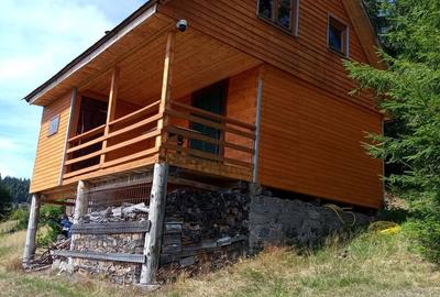 Teren de 56000 mp, în Arieșeni - 10