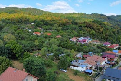 TEREN 1869 MP, CADRU NATURAL SUPERB, TOATE UTILITATILE - 10