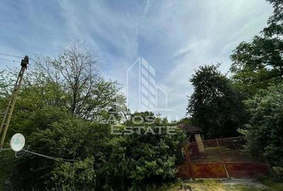 Proprietate unica in padurea de la Bazosul Nou. Proprietate unica in padurea de la Bazosul Nou. - 3