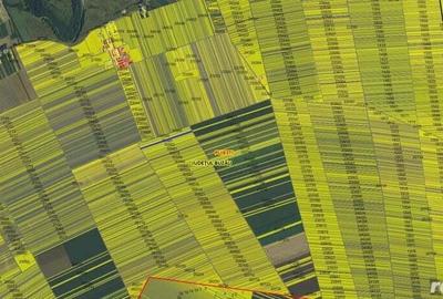 Teren agricol Puiesti ID: R2116028 - 6