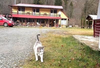 Vila de vanzare in Parcul national Piatra Craiului - 4