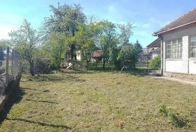 Casă cu 3 camere cu Teren 4123 Mp în Viile Satu Mare - 5