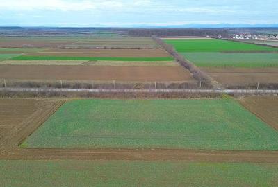 Teren de 6600 mp, în Lazuri - 6