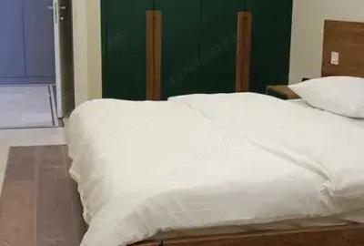 Apartament cu 2 camere semidecomandat în Tineretului - 4