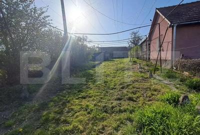 Casă cu 2 camere cu Teren 15000 Mp în Central - 11