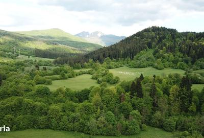 Spațiu comercial, în Babarunca - 5
