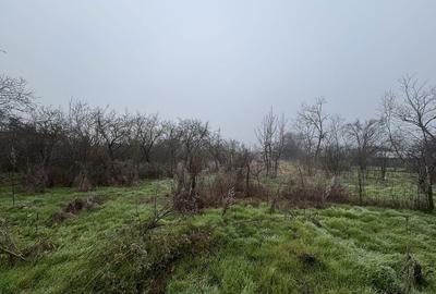 Teren de 2461 mp, în Sârbeni - 1