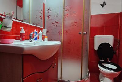 Coiciu Casa de Vanzare Casa din Vis P+M Parcare in Curte - 26