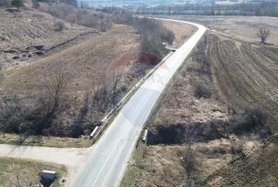 Teren de 2000 mp, în Moșna - 2