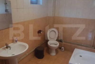 Spațiu comercial, de 300 mp, în Central - 3