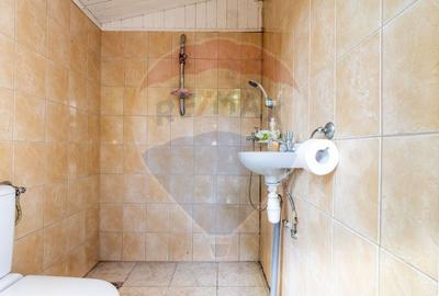 Casa 3 camere si teren 765 mp de vanzare Micalaca,Arad - 13