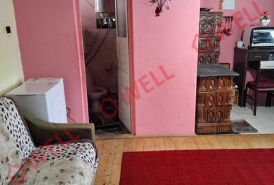 Casă cu 2 camere în Câmpu Cetății - 2