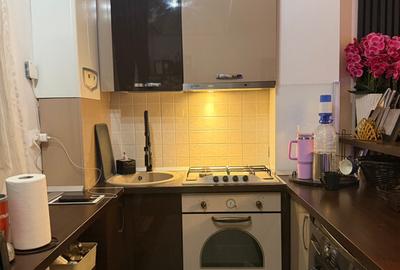 Apartament 3 camere decomandate strada Salcamilor - 10