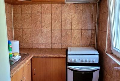 Apartament cu 2 camere semidecomandat în Valea Rosie - 2