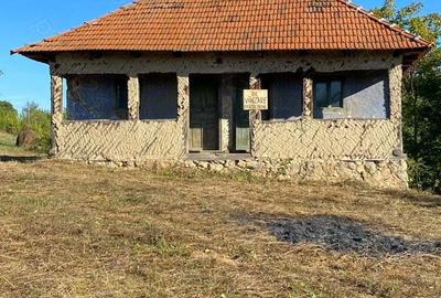 Casa + teren Certeju de Jos, Comuna Vorta ( Hunedoara) - 1